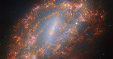 Webb Snaps Breathtaking New Image of NGC 1559