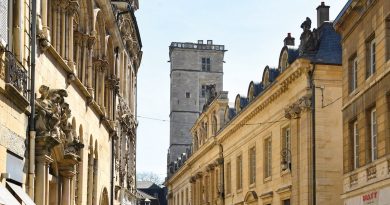 A guide to Dijon, France
