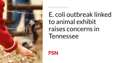 E. coli outbreak linked to animal exhibit raises concerns in Tennessee