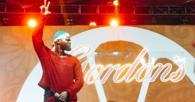 Get Ready: Gordon’s Playground is Back for Gin Lovers!