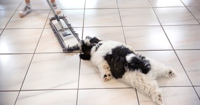 Research: Why We Choose the Hard Way to Do Tedious Tasks