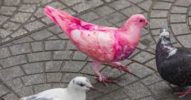 10 Fascinating Small Town Mysteries and Secrets