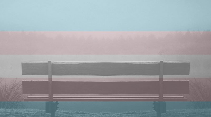 Trans Day of Rest