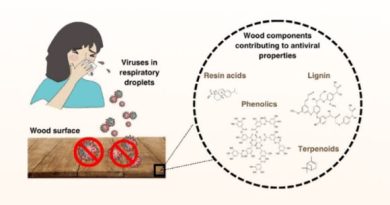 Solid Wood Surfaces Have Natural Antiviral Properties, Study Shows