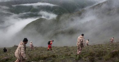 Iran probe finds Raisi helicopter crash caused by weather: media