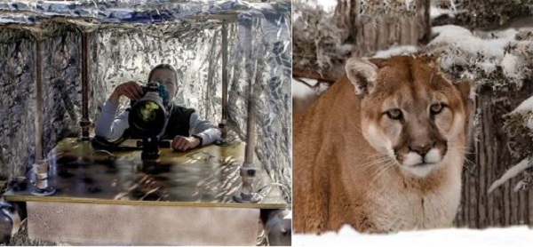 Marquis Who’s Who Honors Lynn B. Starnes for Expertise in Wildlife Photography