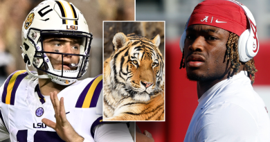 LSU may have live tiger on sideline vs Alabama: reports