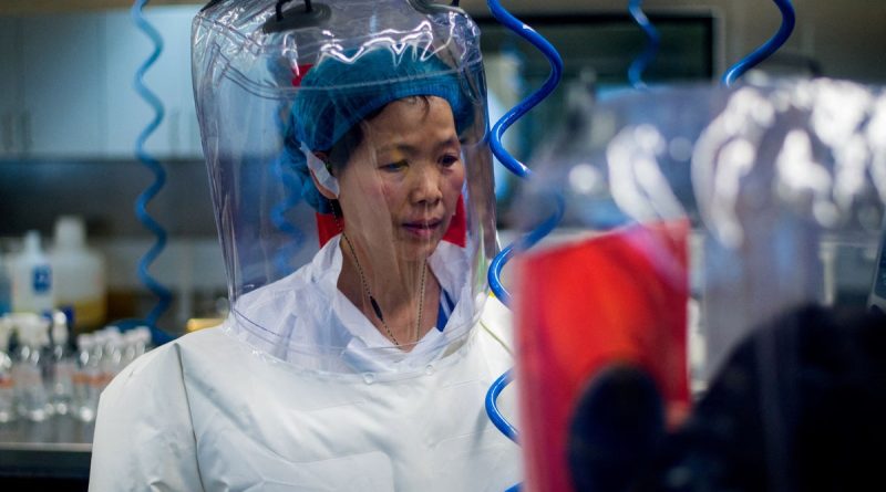 Wuhan Lab Sequences Reveal No Close COVID Relatives, Virologist Says