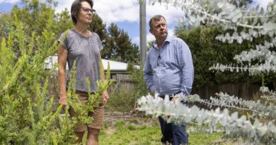 ‘Develop at all costs’: Volunteers built a youth refuge with govt support. Now it’s being sold