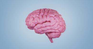 Subtle differences identified in brains of people with schizophrenia