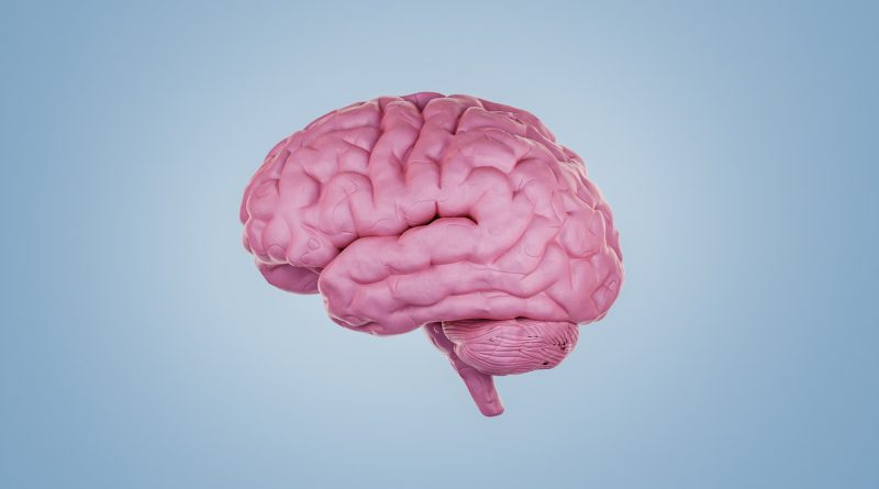 Subtle differences identified in brains of people with schizophrenia