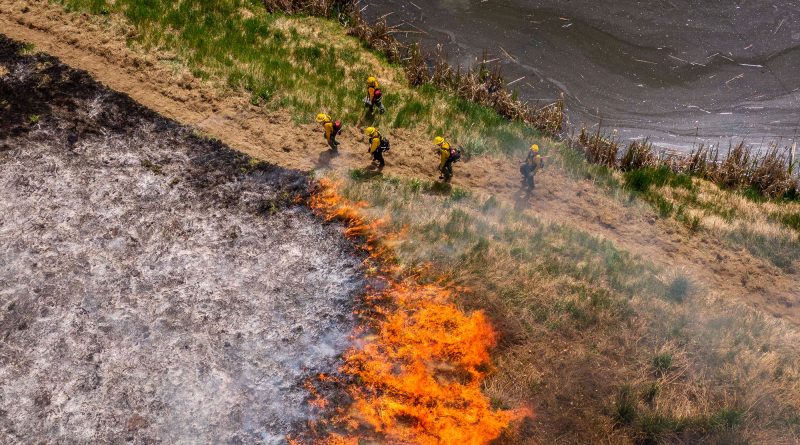 How Washington State pioneered an ‘all hands, all lands’ wildfire prevention strategy