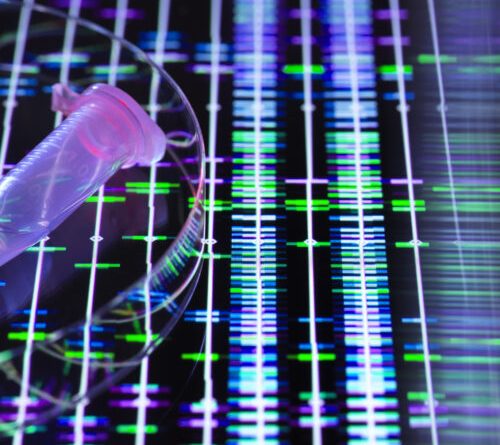 Genetic testing company 23andMe declares bankruptcy