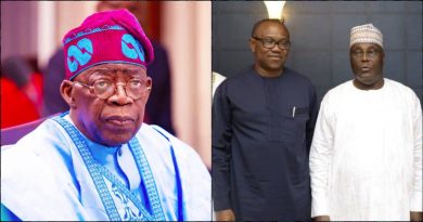 2027 Elections: “Nobody is beating Tinubu” — Pamilerin Adegoke