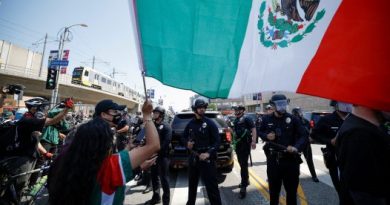 The Mexican Flag Is the Confederate Banner of the L.A. Riots