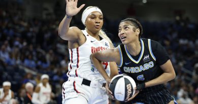 WNBA Fans Called Out Angel Reese For Hitting Mystics Rookie in the Face