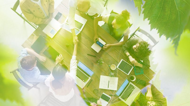 4 leadership tips to start a sustainability career in 2025