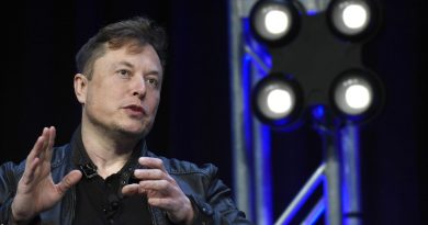 Elon Musk lays out America Party’s look