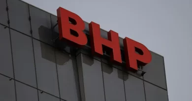 BHP banks on China export resilience and India growth for demand