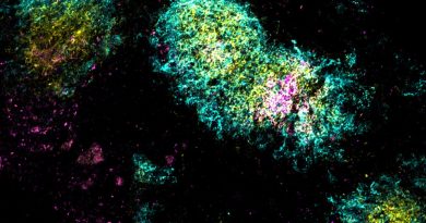 One-shot vaccines for HIV and covid