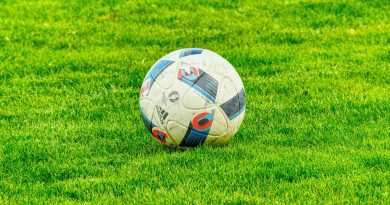 Genius Sports scores exclusive rights deal with European Leagues Association