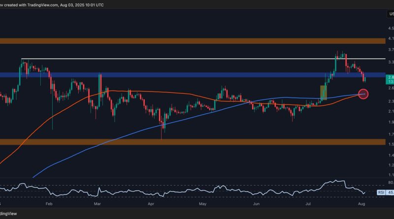 Ripple Price Analysis: These Are XRP’s Next Defense Lines After a Breakdown Below $3