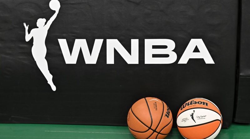 Fan accused of sex toy toss faces multiple charges