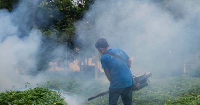 China’s Fight Against Chikungunya Virus Tests a City’s Post-Covid Patience