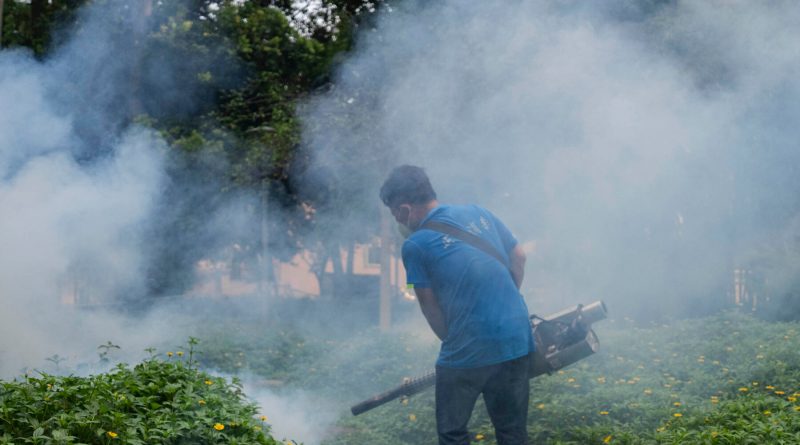 China’s Fight Against Chikungunya Virus Tests a City’s Post-Covid Patience