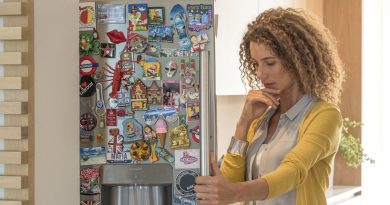 Do Fridge Magnets Really Increase Energy Consumption?