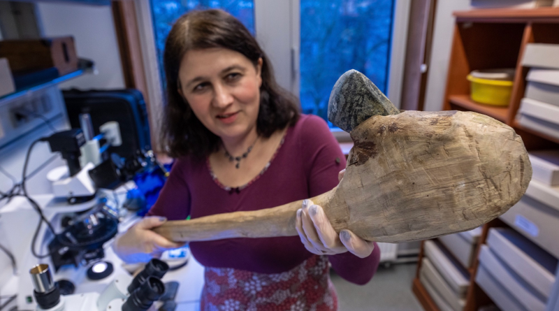 Stone Age women were buried with as many tools as men