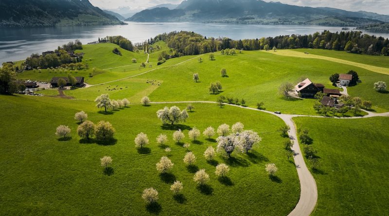 5 essential experiences in the Lake Lucerne region