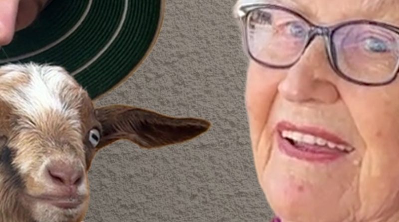 How unexpected friendships formed in the garden bring joy to ageing