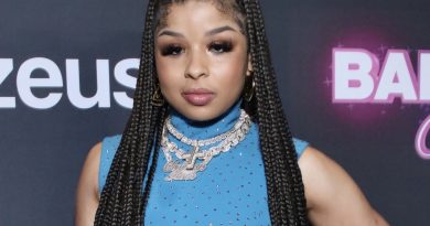 New Bae? Chrisean Rock Sparks Buzz With Cozy Pics Following Breakup With HoodTrophy Bino