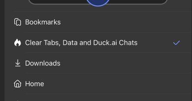 Some surprising things about DuckDuckGo you probably don’t know