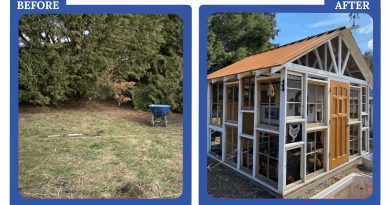 I Spent $2K to Build a Chicken Coop to Feed My Family of Nine