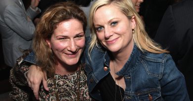 Amy Poehler’s Boston roots came out in wild plane fight in front of baby