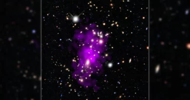 Astronomers ring in the new year with a stunning galaxy collision