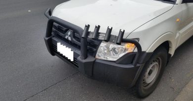 Pedestrian deaths just reached an 18-year high. Bull bars are part of the problem