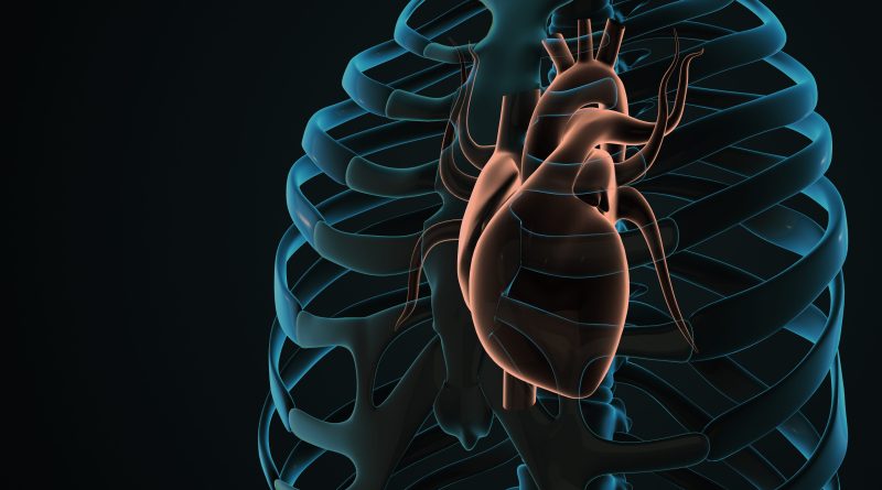 Surgeons Just Performed the First Open Heart Surgery Without Ever Opening the Chest. Here’s How.