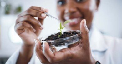 Cuts Stall Clinical Trials, Scientists Warn US Risks Losing Its Research Edge