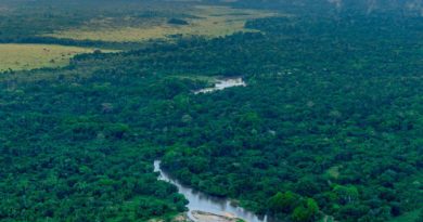 COVID-19 cleared the skies but also supercharged methane emissions
