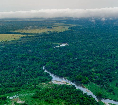 COVID-19 cleared the skies but also supercharged methane emissions