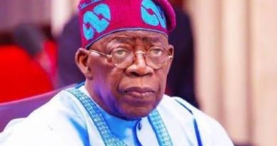 Tinubu establishes petroleum reform, value optimisation task force