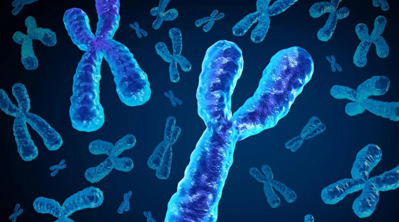Men are losing a key chromosome with age and it may be deadly
