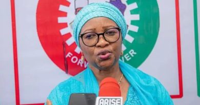 Labour Party Zones 2027 Presidential Ticket to the South