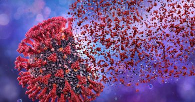 How do mRNA vaccines work, and why are they safe and effective?