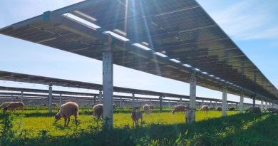 Middle East War Reignites the Energy Transition