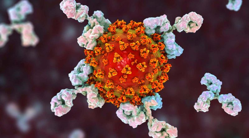 Attacks from our immune system are a cause of long covid