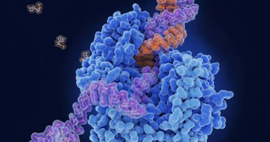 Multipurpose anti-viral pill may treat colds, norovirus, flu and covid